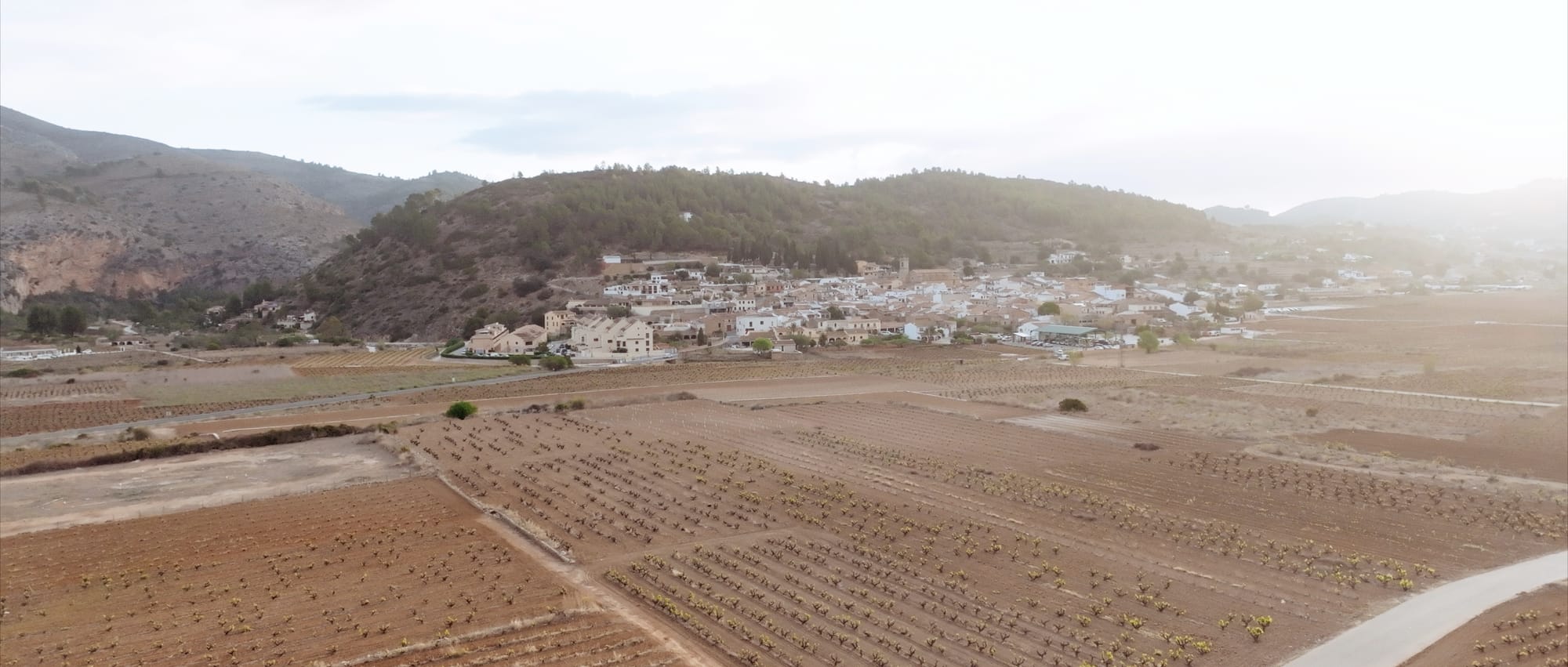 Lliber Alicante's Hidden Gem for Your Mediterranean Elopement